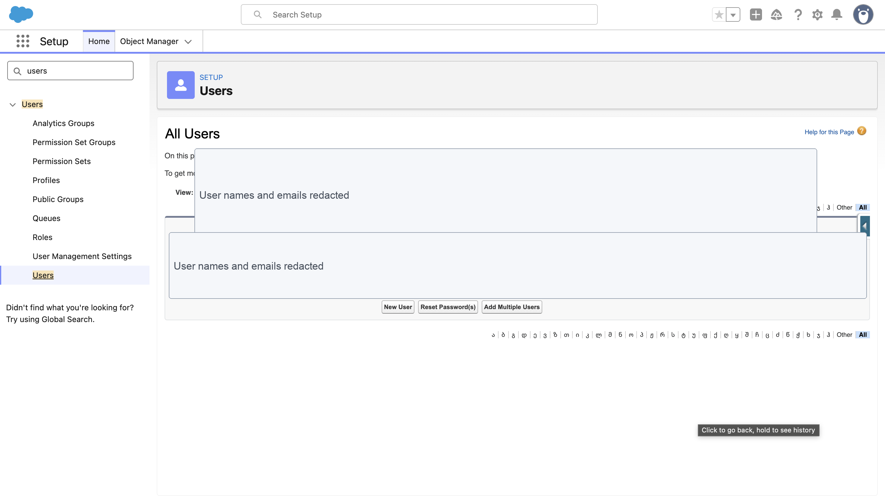 Salesforce Users page with user details redacted