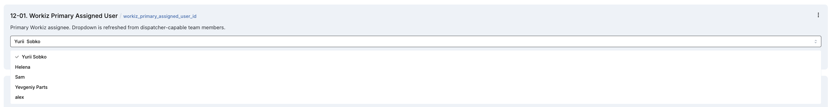 Workiz Team Dropdown